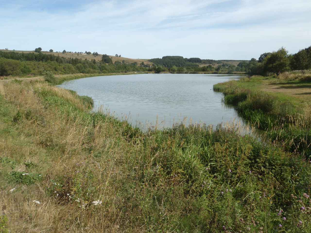 L’effacement d’un plan d’eau permet au Lignon du Velay de retrouver son lit naturel - Plan d'eau de Fay-sur-Lignon avant travaux