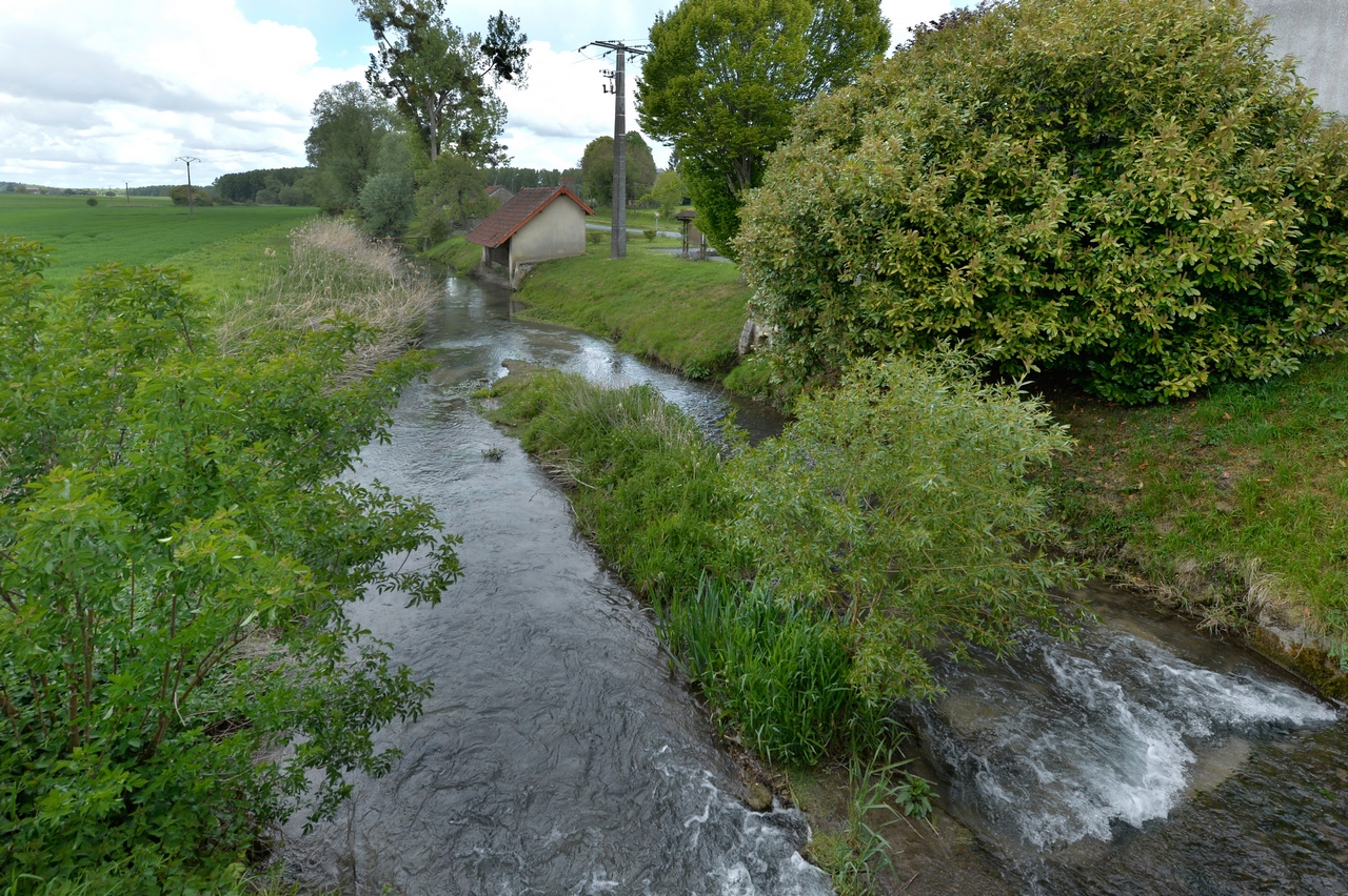 rivière Céphons dans l'Indre (36)