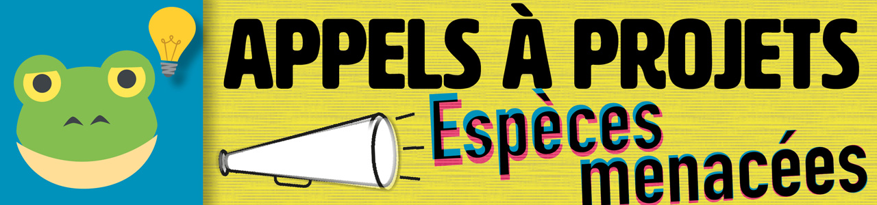IMage d'illustration