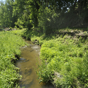 Photo d'illustration
