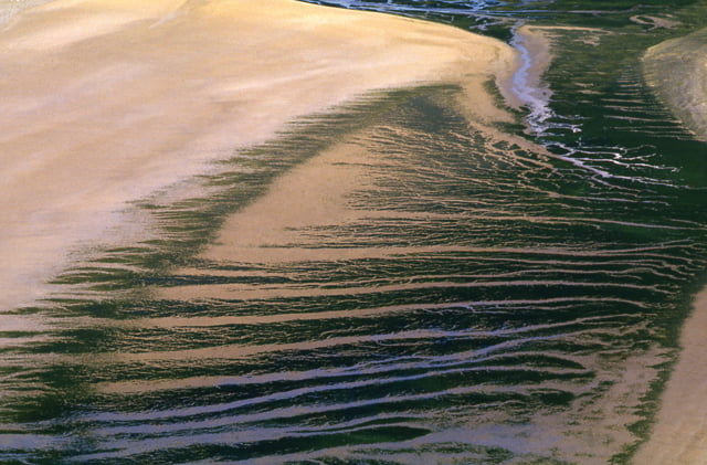 photo d'algues vertes en Bretagne