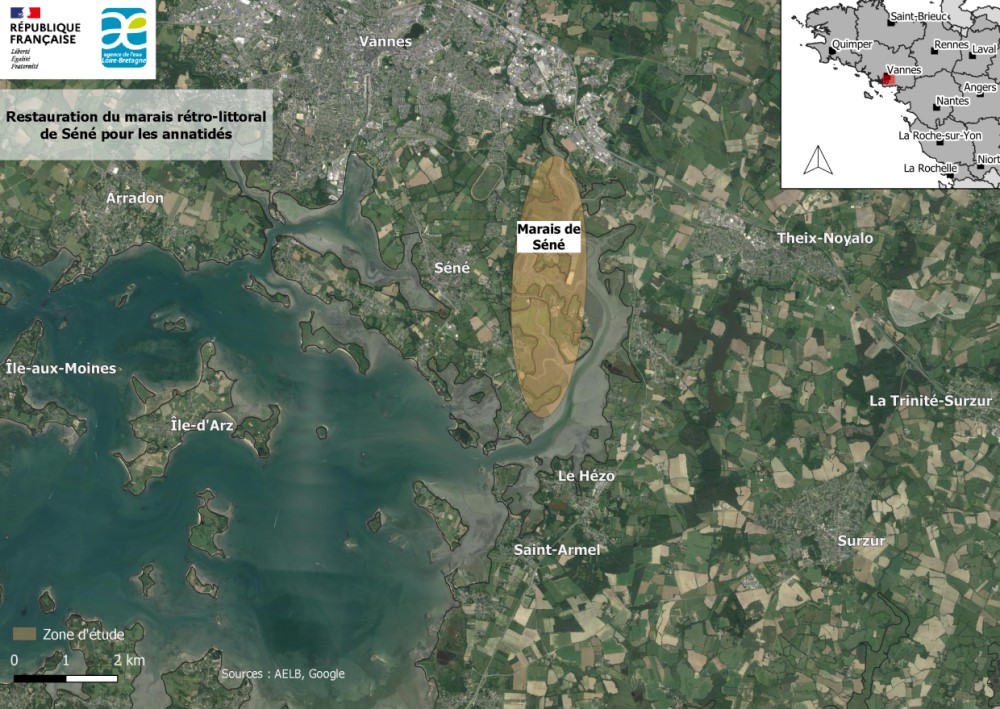 Zone d'étude pour la restauration du marais rétro-littoral de Sené pour les Anatidés